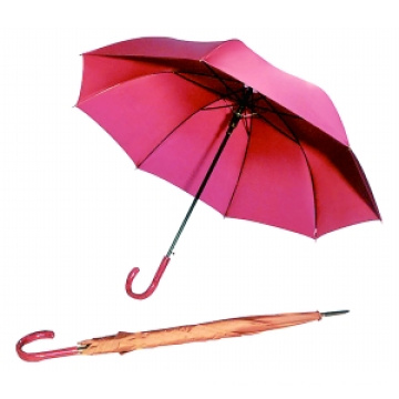 Auto Open Pure Farbe Straight Umbrella (BD-19)